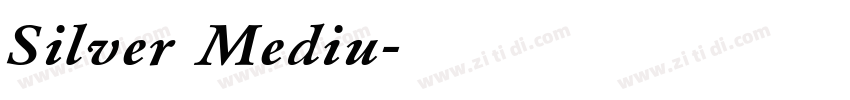 Silver Mediu字体转换